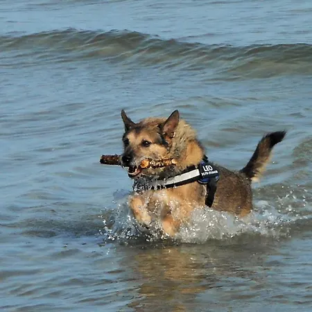 Ruegenblick Haushaelfte *