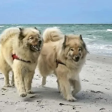 Ruegenblick Haushaelfte 公寓