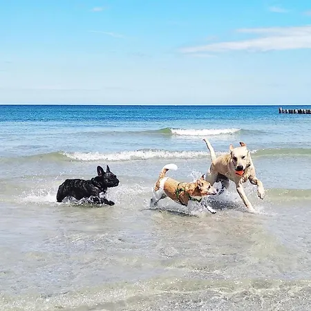 Ruegenblick Haushaelfte *