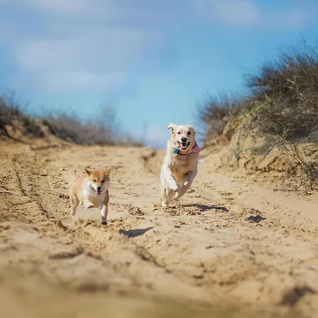 Ruegenblick Haushaelfte