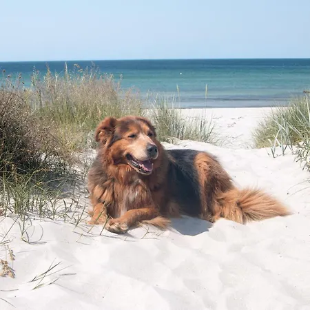 Ruegenblick Haushaelfte 公寓 Stahlbrode