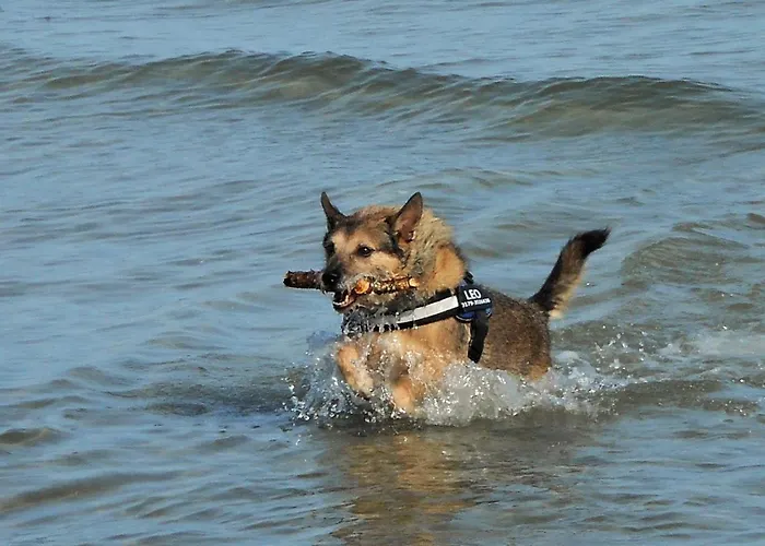 Ruegenblick Haushaelfte *