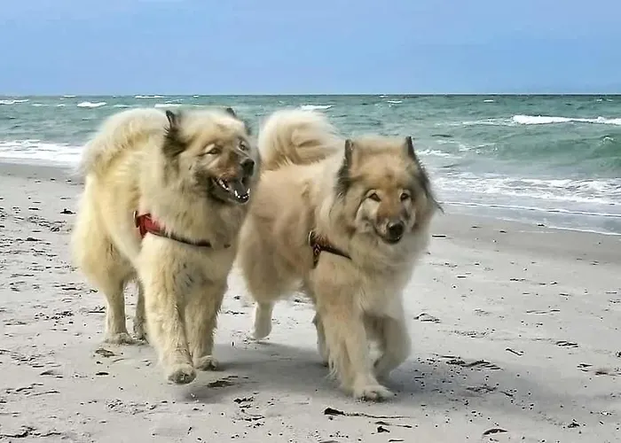 Ruegenblick Haushaelfte Апартаменты