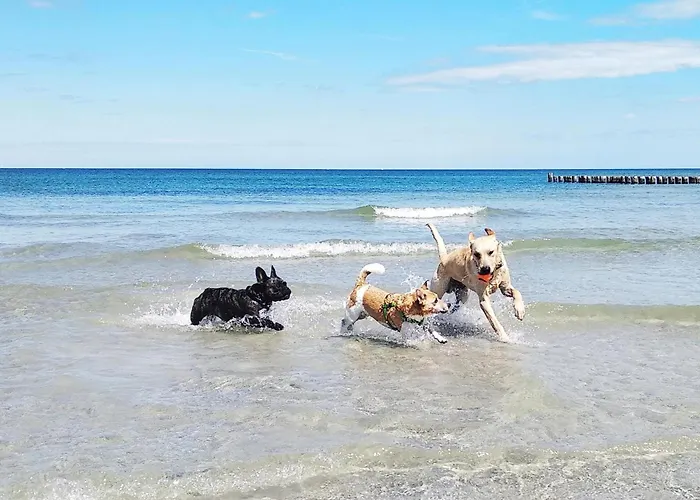 Ruegenblick Haushaelfte *