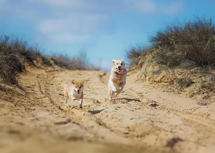 Ruegenblick Haushaelfte