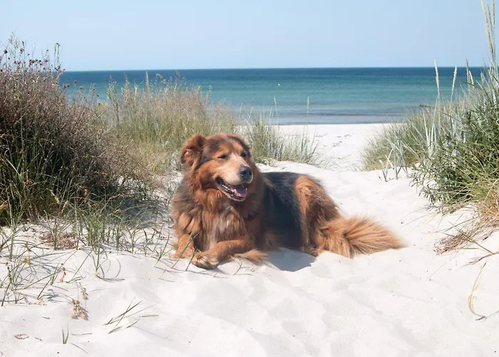 Ruegenblick Haushaelfte Апартаменты Stahlbrode